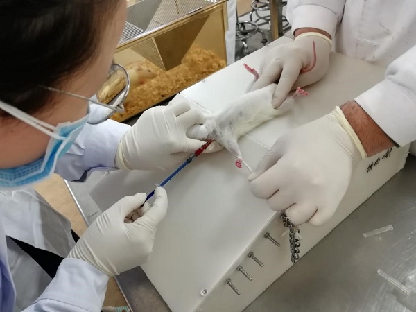 评价二部加大操作培训力度 全员掌握颈静脉采血技术